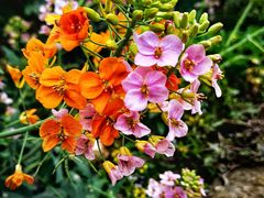 -中国天府农业博览园