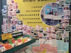 -猫咪博物馆(顶澳仔猫街店)