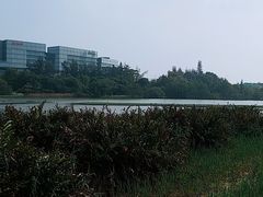 -华侨城湿地公园