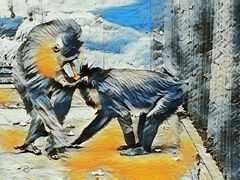 -昆明动物园