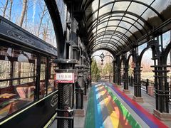 -合肥滨湖国家森林公园