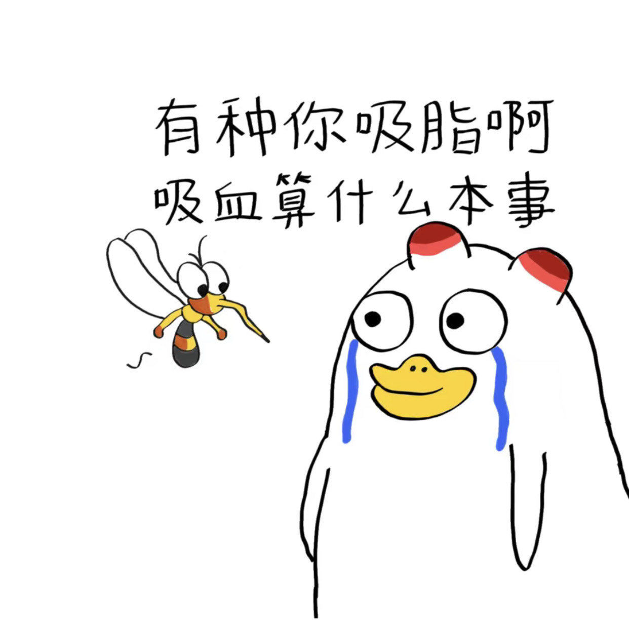 天天领红包大家有没有觉得今年的蚊子特别的多?