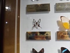 -上海昆虫博物馆