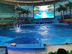 -海合安成都极地海洋公园