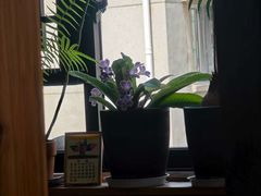 -知亘茶食