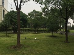-鸿华度假酒店