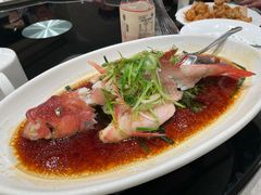 -新南华大酒店(广中店)