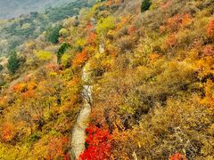 -香山公园
