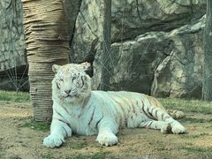 -北京野生动物园