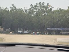 -广东茂名森林公园