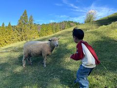 -神户市立六甲山牧场