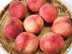 -南汇水蜜桃采摘(大团店)