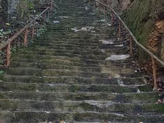 -天女山森林公园