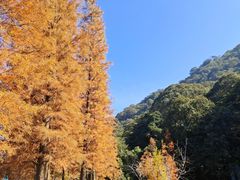 -广州市石门国家森林公园
