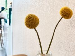 -尤加利咖啡馆