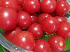 -东方之珠KTV娱乐超市(河北店)