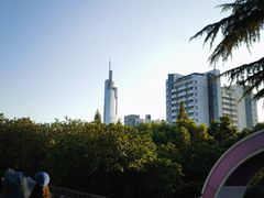 -紫峰大厦