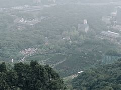 -杭州半山国家森林公园