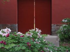 -北京市劳动人民文化宫(太庙)