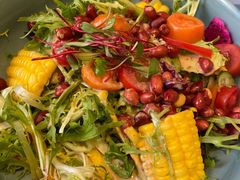 -紫光园·烤鸭·北京菜(劲松店)