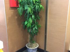-麦当劳(轻轨曹杨路店)