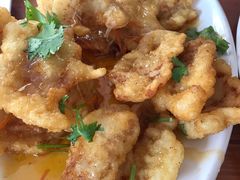 锅包肉-合兴园东北食府(南关岭店)