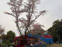 -团城山公园