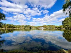 -上海共青森林公园