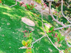 -上海虹桥迎宾馆