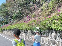 -火炉山森林公园