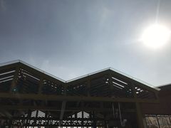 门面-吴淞炮台湾湿地森林公园烧烤区