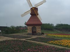 -杭州湾海上花田景区