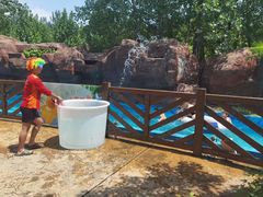 -郑州方特水上乐园