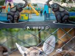 -佛冈森波拉度假区