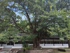 -苏州文庙(姑苏区)