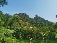 -缙云山景区