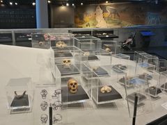 -北京周口店北京人遗址博物馆