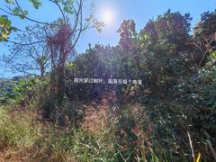 -梅州天地人花园酒店(梅县人民广场店)