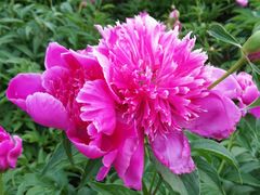 -长春公园(普阳街道)