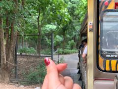 -清迈夜间动物园