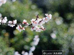 -西山风景区