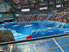 -海合安成都极地海洋公园