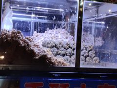-小菜园新徽菜(合肥瑶海万达店)