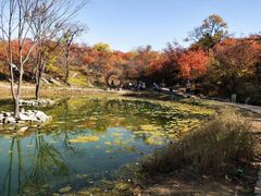 -周口店坡峰岭风景区