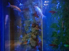 -恒宝和宴(合生广场店)