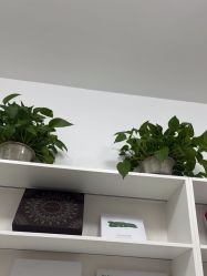 -Dr·Jane皮肤管理中心