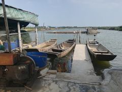 -大湾区中央湿地公园