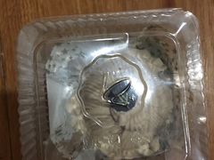 -凯司令(豫园地铁站店)