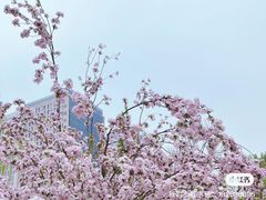 -元大都城垣遗址公园