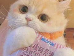 -润泽园椰子鸡(汇一城店)